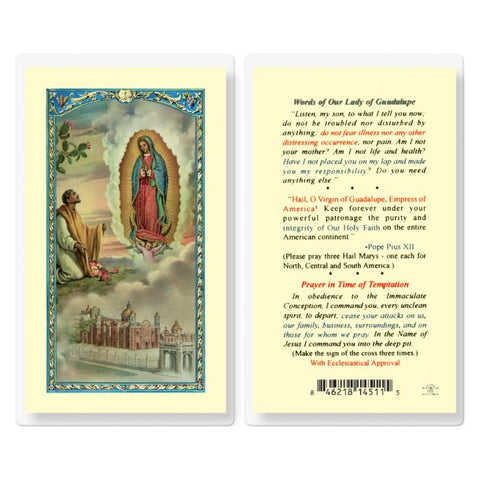 E24-843   OUR LADY OF GUADALUPE